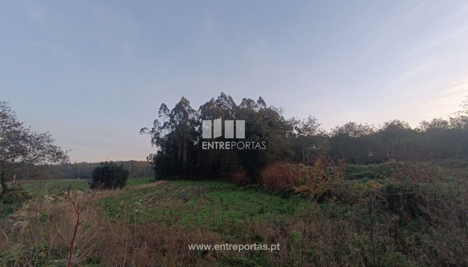  قطعة أرض في Vila do Conde, Portugal 13000متر مربع رقم 54915