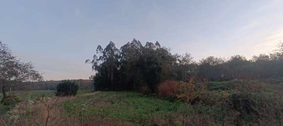  قطعة أرض في Vila do Conde, Portugal 13000متر مربع رقم 54915 3