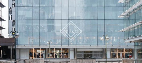 Коммерческая недвижимость 217м² в Мадрид, Испания № 79940 10