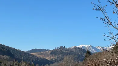 5غرفة منزل في Grunbach am Schneeberg, Austria رقم 223166