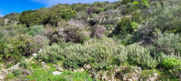 2 bedrooms Commercial property in Chania, Greece No. 45 19