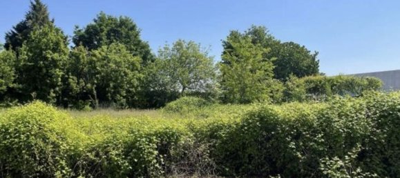 Lagerhaus in Moglia, Italy 413m², Nr. 370562 14