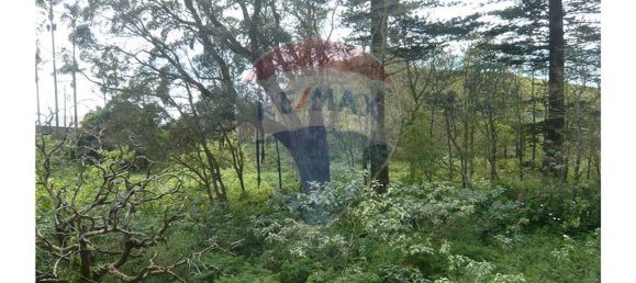 Casa T7 em Ponta Delgada, Portugal N.º 34242 36