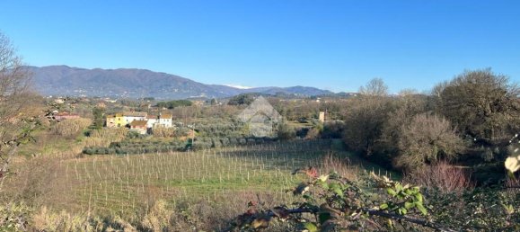 47015m² Land in Montecarlo, Italy No. 27059 9