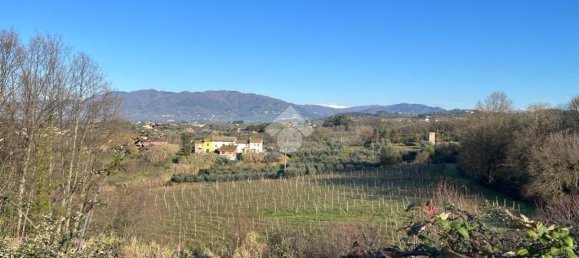 47015m² Land in Montecarlo, Italy No. 27059 33