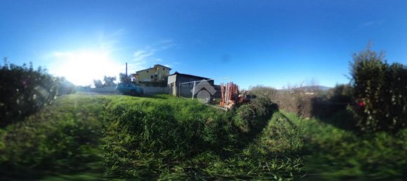 47015m² Land in Montecarlo, Italy No. 27059 17