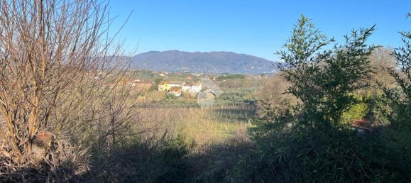 47015m² Land in Montecarlo, Italy No. 27059 26