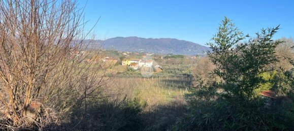 47015m² Land in Montecarlo, Italy No. 27059 23