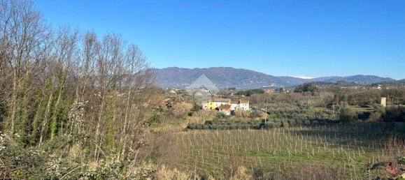 47015m² Land in Montecarlo, Italy No. 27059 19