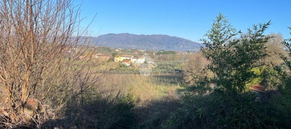 47015m² Land in Montecarlo, Italy No. 27059 11