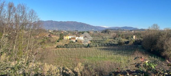 47015m² Land in Montecarlo, Italy No. 27059 12