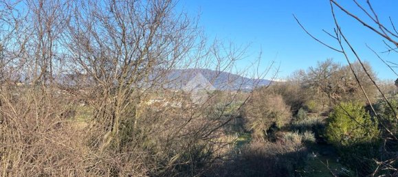 47015m² Land in Montecarlo, Italy No. 27059 13