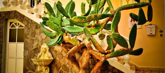 11 bedrooms Hotel in Canico, Portugal No. 127815 17