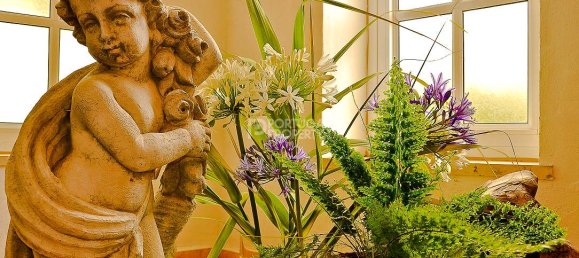 11 bedrooms Hotel in Canico, Portugal No. 127815 18