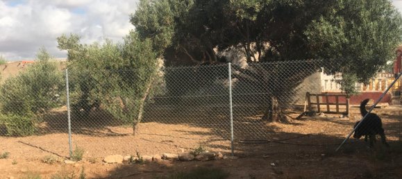 Таунхаус с 2 спальнями в Торре-Пачеко, Испания № 134854 14