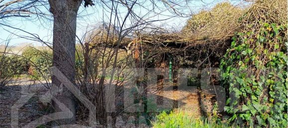 5 rooms Villa in San Giorgio del Sannio, Italy No. 303947 32