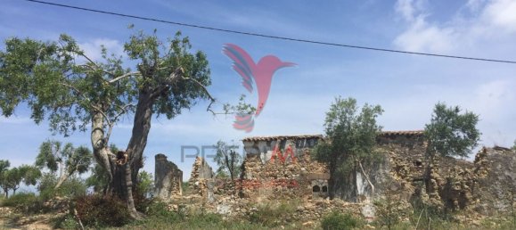 15000m² Land in Santa Catarina da Fonte do Bispo, Portugal No. 190413 27