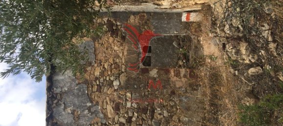 15000m² Land in Santa Catarina da Fonte do Bispo, Portugal No. 190413 20