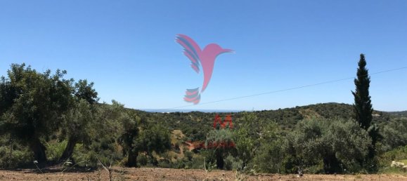 15000m² Land in Santa Catarina da Fonte do Bispo, Portugal No. 190413 12
