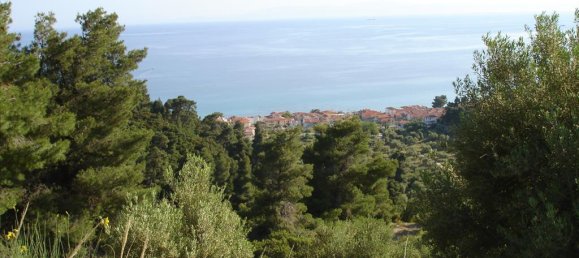 4465m² terrain à vendre à Chalkidiki, Central Macedonia, Macedonia and Thrace, Greece № 104539 7