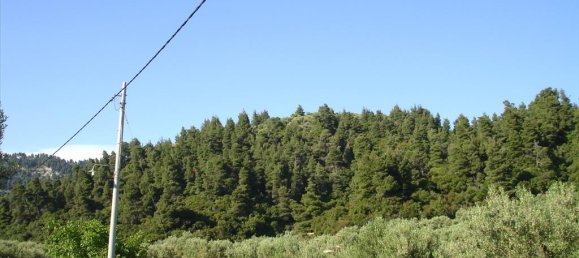 4465m² terrain à vendre à Chalkidiki, Central Macedonia, Macedonia and Thrace, Greece № 104539 2