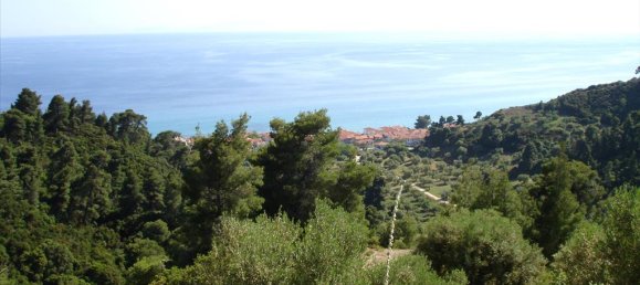 4465m² terrain à vendre à Chalkidiki, Central Macedonia, Macedonia and Thrace, Greece № 104539 5
