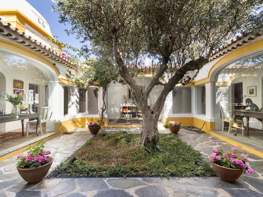 12 bedrooms House in Redondo, Portugal No. 354954