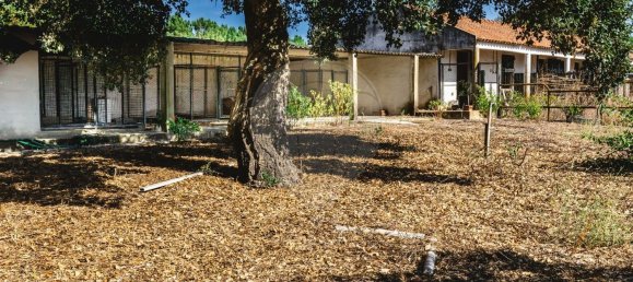 4 Schlafzimmer Haus in Setubal, Portugal, Nr. 175829 16