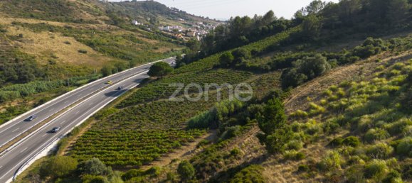 Grundstück in Torres Vedras, Portugal, Nr. 81359 12