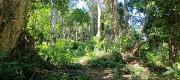 6400m² Commercial property in Nai Yang, Thailand No. 12506 8