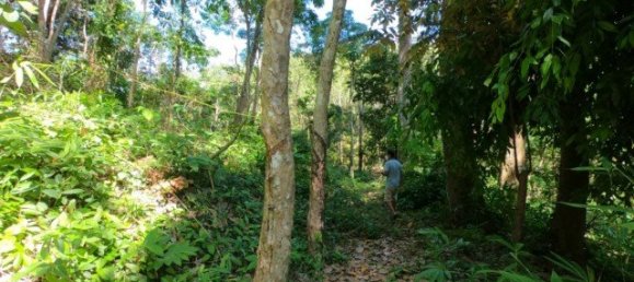 6400m² Commercial property in Nai Yang, Thailand No. 12506 9