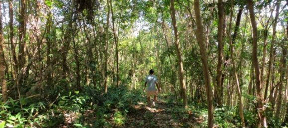 6400m² Commercial property in Nai Yang, Thailand No. 12506 18