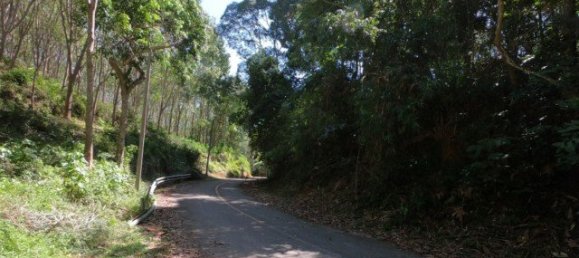 6400m² Commercial property in Nai Yang, Thailand No. 12506 5