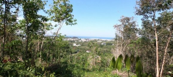 6400m² Commercial property in Nai Yang, Thailand No. 12506 16