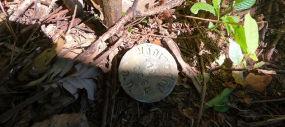 6400m² Commercial property in Nai Yang, Thailand No. 12506 13