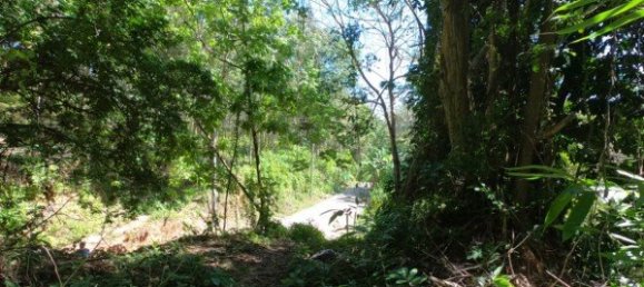 6400m² Commercial property in Nai Yang, Thailand No. 12506 19