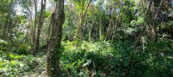 6400m² Commercial property in Nai Yang, Thailand No. 12506 11