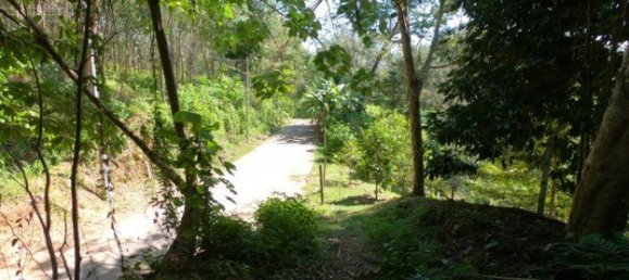 6400m² Commercial property in Nai Yang, Thailand No. 12506 3