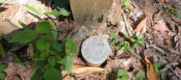 6400m² Commercial property in Nai Yang, Thailand No. 12506 7