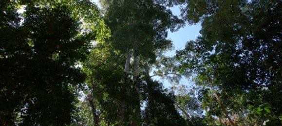 6400m² Commercial property in Nai Yang, Thailand No. 12506 10