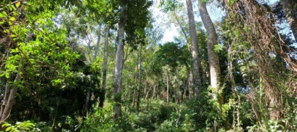 6400m² Commercial property in Nai Yang, Thailand No. 12506 6