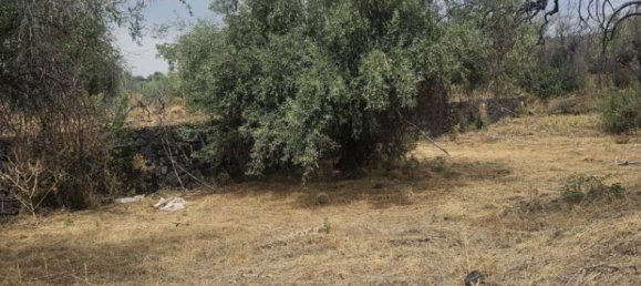 6000m² Land in Ragalna, Italy No. 283153 2