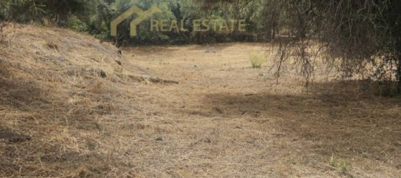 6000m² Land in Ragalna, Italy No. 283153 3