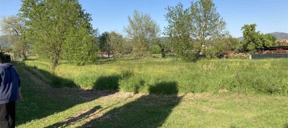 Terreno en Monsummano Terme, Italy 4585 m² No. 170609 3