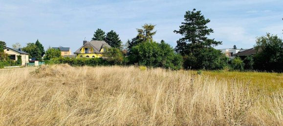  Land in Gerasdorf bei Wien, Austria No. 246184 4