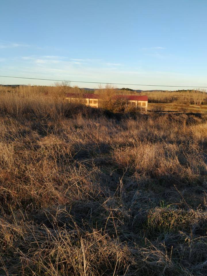 Grundstück in Carcaboso, Spain 7499m², Nr. 110556