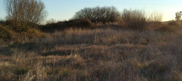 Grundstück in Carcaboso, Spain 7499m², Nr. 110556 5