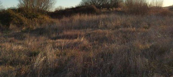 Grundstück in Carcaboso, Spain 7499m², Nr. 110556 8