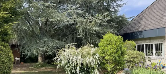 Villa de 10 habitaciónes en Frohnleiten, Austria No. 238024 2