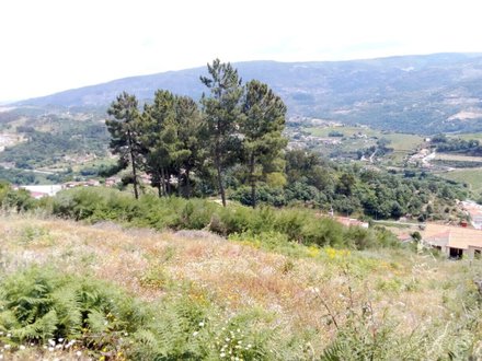 Terrain à Santa Marinha do Zezere, Portugal 6000m² No. 55434